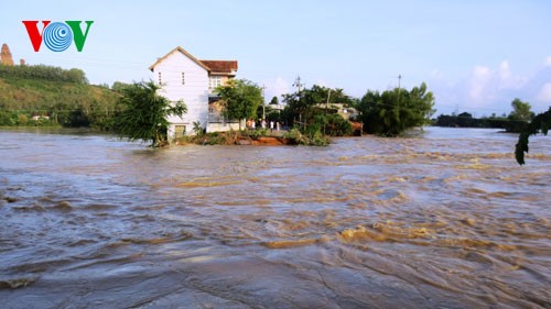 Continued efforts to overcome flood’s aftermath in central and central highlands provinces - ảnh 1